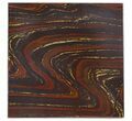 Tiger Iron Stromatolite Shower Tile - Billion Years Old #48785-1
